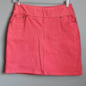 Chadwicks Pink Pull on Jean Skort Size 14T